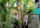 Warga-Desa-Wonocolo-Ubah-Lahan-Kosong-Jadi-Kebun-Pisang,-Kapolsek-Taman-Beri-Apresiasi