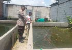 Polisi,-Dukung-Ketahanan-Pangan-Lewat-Budidaya-Ikan