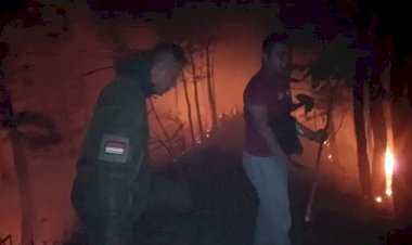 Polres-Malang-dan-Tim-Satgas-Karhutla-Berhasil-Padamkan-Kebakaran-di-Jabung