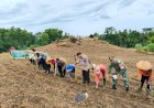 Polresta-Banyuwangi-Bersama-Kelompok-Tani-Tanam-Jagung-Serentak-Gelorakan-Swasembada-Pangan