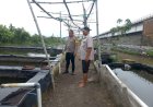 Kapolsek-Wonoayu-Cek-Peternakan-Ikan-di-Desa-Popoh