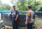 POLRESTA-SIDOARJO-|-Kapolsek-Sedati-Masifkan-Peran-Bhabinkamtibmas-untuk-Dukung-Pengelolaan-Pekarangan-Pangan-Bergizi