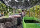 Langkah-Ketahanan-Pangan,-Warga-Desa-Trosobo-Manfaatkan-Lahan-Kosong-untuk-Kolam-Bioflok-Pembesaran-Lele