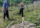 Bhabinkamtibmas-Dampingi-Warga-Rawat-Pekarangan-Bergizi