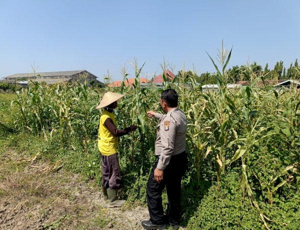 Petani Desa Lebo Apresiasi Dukungan Polisi Terhadap Upaya Ketahanan Pangan