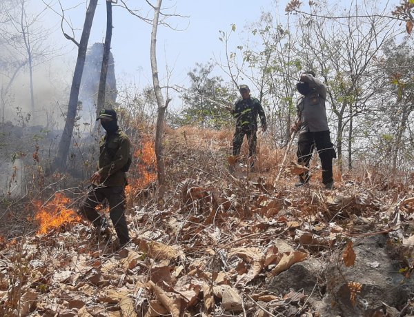 Respons Cepat Polres Ponorogo dan Tim Gabungan Berhasil Jinakkan Karhutla di Sampung