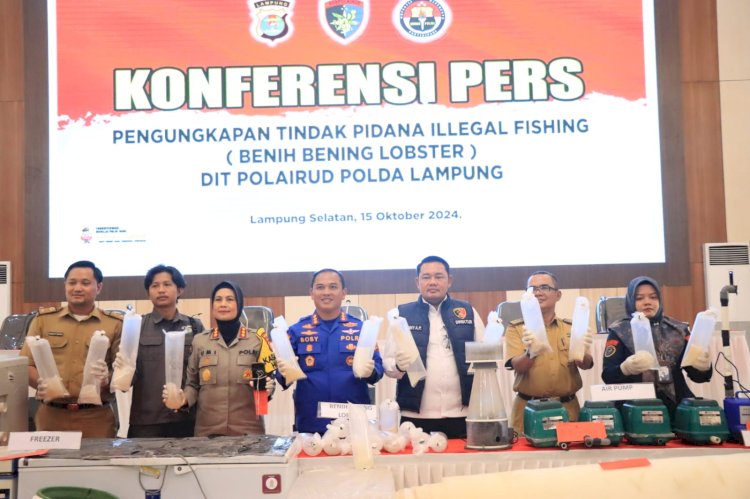 Penegakan Hukum Tegas untuk Perdagangan Benih Lobster Ilegal di Lampung