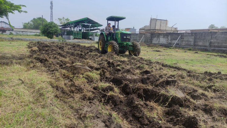 Wujudkan Ketahanan Pangan Polisi di Sidoarjo Buka Lahan Tidur Jadi Produktif Ditanami Jagung