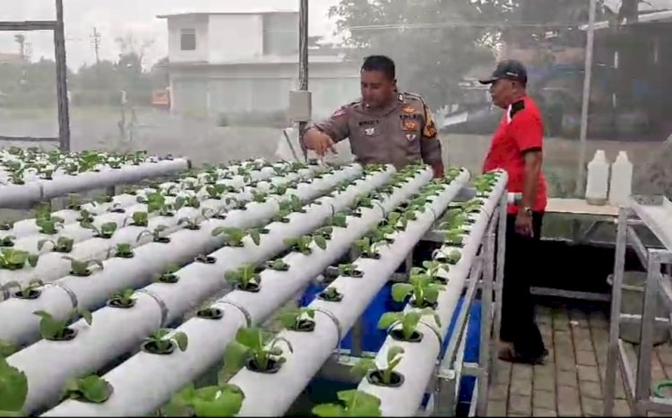 Sambang desa, Bhabinkamtibmas Kletek Aiptu Eko Suyanto Cek Tamanan Horticultura di Green House, Dukung Ketahanan Pangan