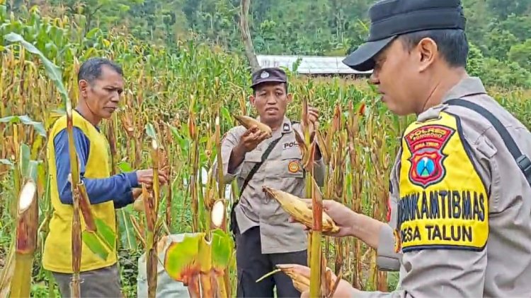 Polres Ponorogo Sahabat Petani,  Warga Wujudkan Swasembada Pangan