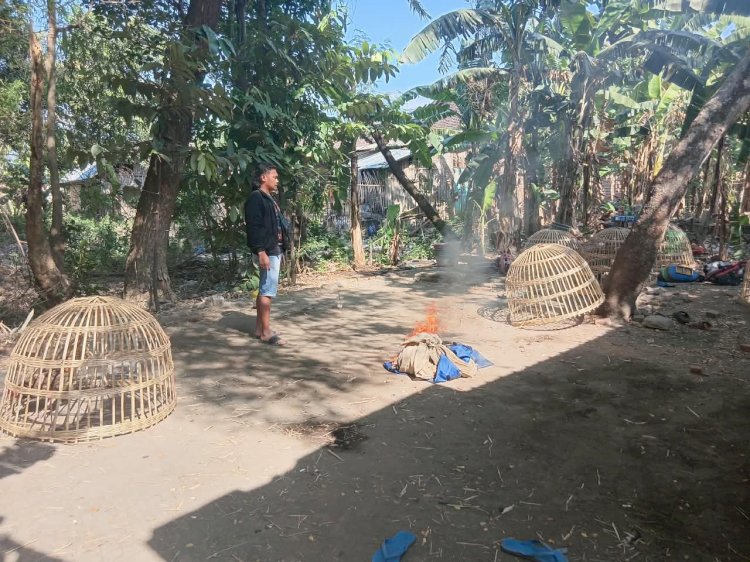 Respons Cepat Aduan Warga, Polres Nganjuk Bongkar Dua Lokasi Sabung Ayam